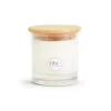 ULU LAGOON 11 OZ WINTER CANDLE () -Wave Rider Shop 00061 2000x.jpg 44793.1671048234