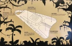 NALU FINS - Black/ Green -Wave Rider Shop 9307463 1