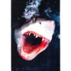 LEUS GREAT WHITE TOWEL (EX) -Wave Rider Shop leus beachtowel great white 75894.1700415155