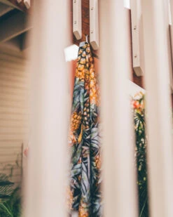 LEUS PINEAPPLE PARADISE TOWEL (EX) -Wave Rider Shop leus beachtowel pineapple paradise hanging 04967.1700415178