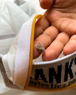 LEUS ECO WASH BAG -Wave Rider Shop leus washbag lint 11411.1673632261