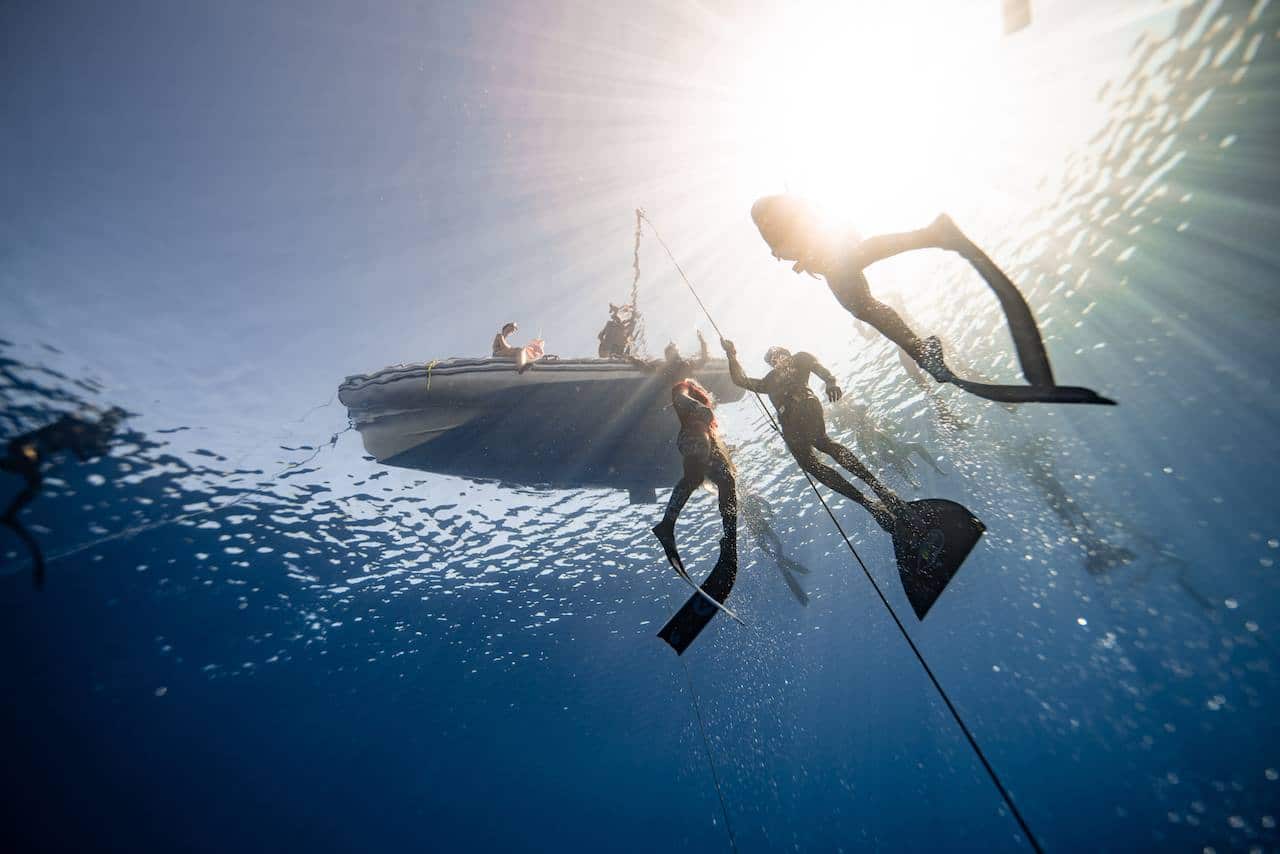 Wave Rider Shop -Wave Rider Shop simo up